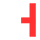 Professor Dr. Sazzad Hossain Logo